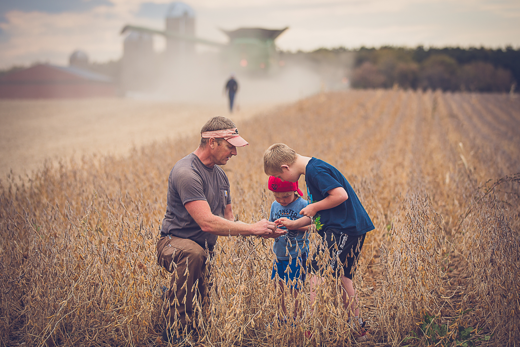 man kneeling in field showing plants to two children